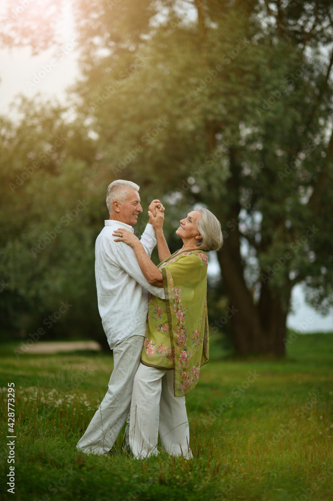 happy senior couple dancing in summer park happy senior couple dancing in summer park