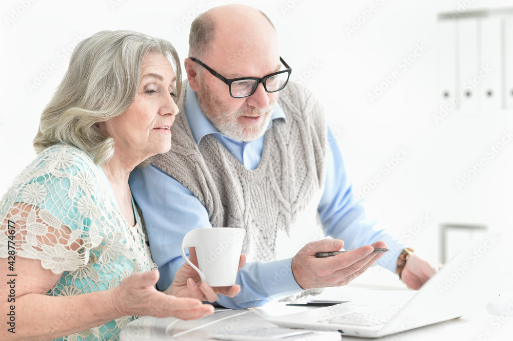 senior couple using laptop at home senior couple using laptop at home