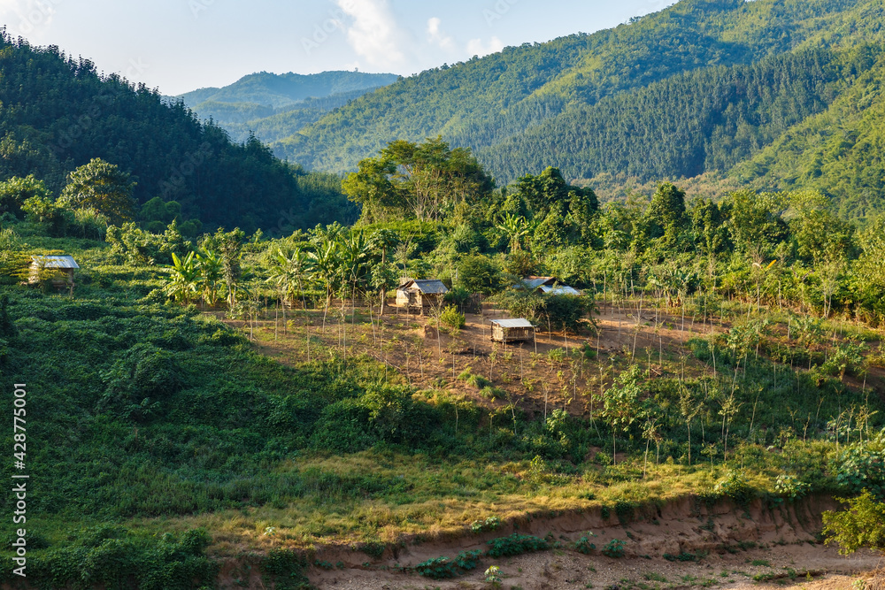 Jungle Village, Phongsaly Province, Laos