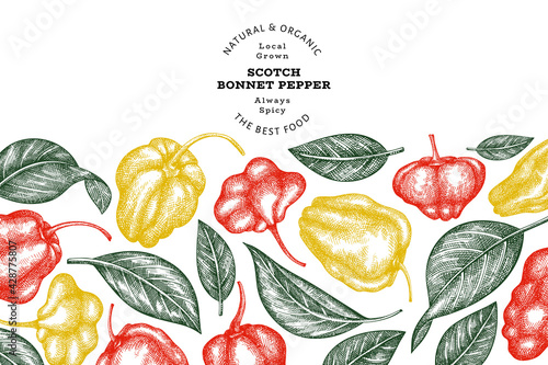 Hand drawn sketch style scotch bonnet pepper banner. Organic fresh vegetable vector illustration. Retro cayenne pepper design template