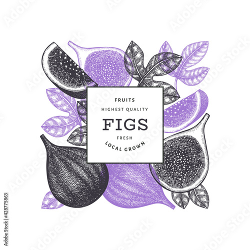 Hand drawn fig fruits design template. Organic fresh food vector illustration. Retro fig fruit banner.