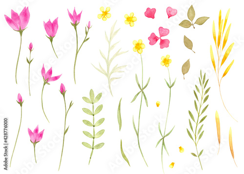 Watercolor flowers clipart set meadow summer collection