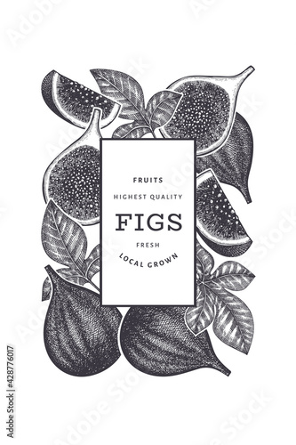 Hand drawn fig fruits design template. Organic fresh food vector illustration. Retro fig fruit banner.