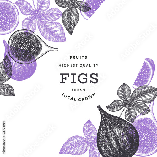 Hand drawn fig fruits design template. Organic fresh food vector illustration. Retro fig fruit banner.
