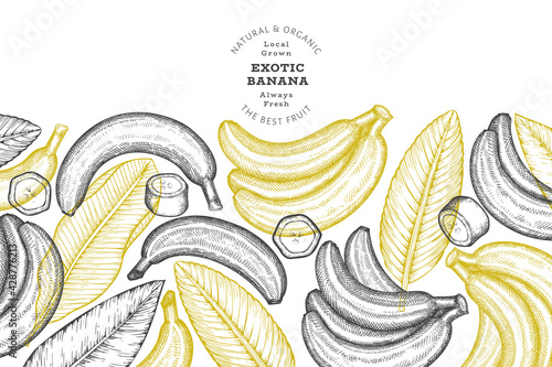 Hand drawn sketch style banana banner. Organic fresh fruit vector illustration. Retro exotic fruit design template