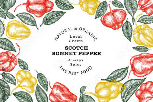 Hand drawn sketch style scotch bonnet pepper banner. Organic fresh vegetable vector illustration. Retro cayenne pepper design template