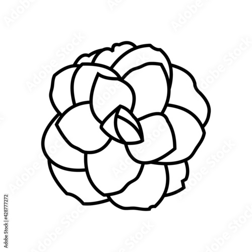 Canvas Print camelia flower vector logo design