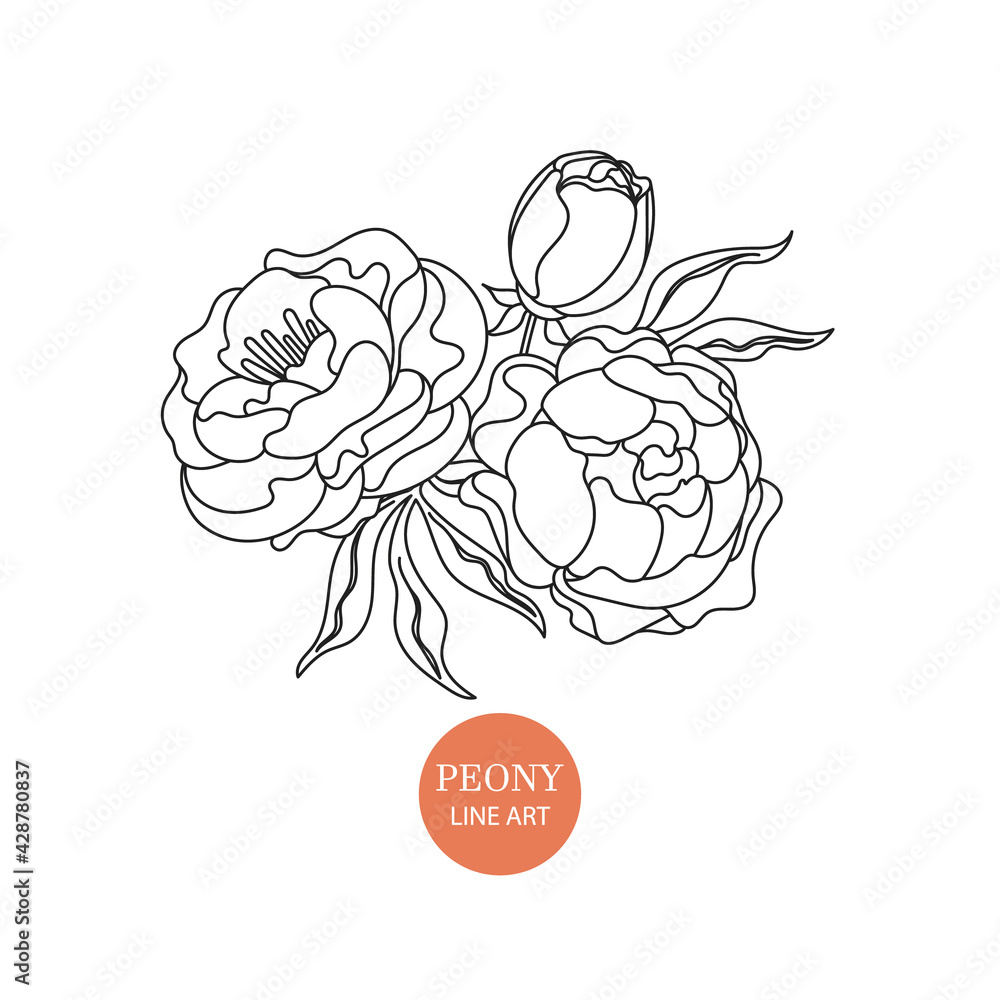Obraz premium Peony flowers in black and white