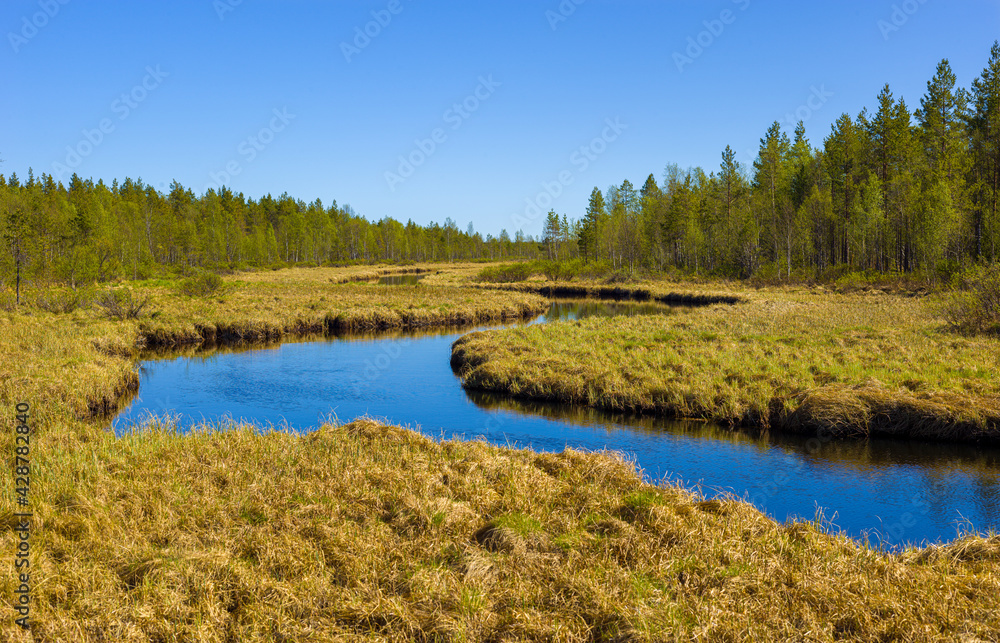 landscape with boreal forest, pet bog and river in south Lapland, Sweden