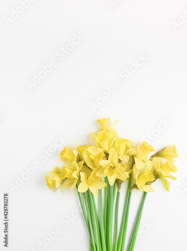 beautiful minimalistic bouquet of spring flowers on a white background. Easter greeting card mockup with beautiful fresh yellow daffodil flowers. space for text, simple flat lay