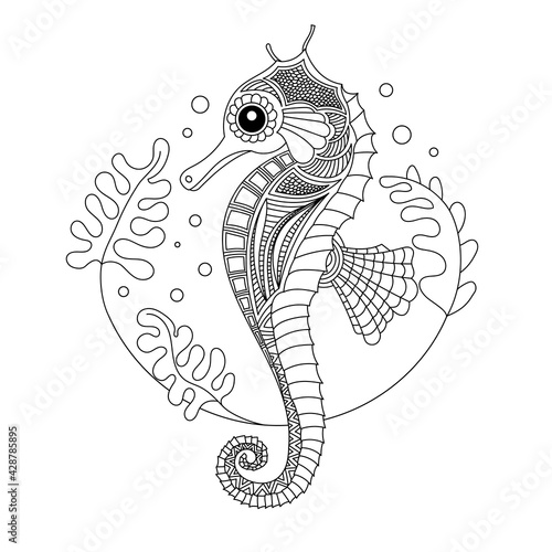 Seahorse coloring book illustration. Black and white lines. Print for t-shirts and coloring books.