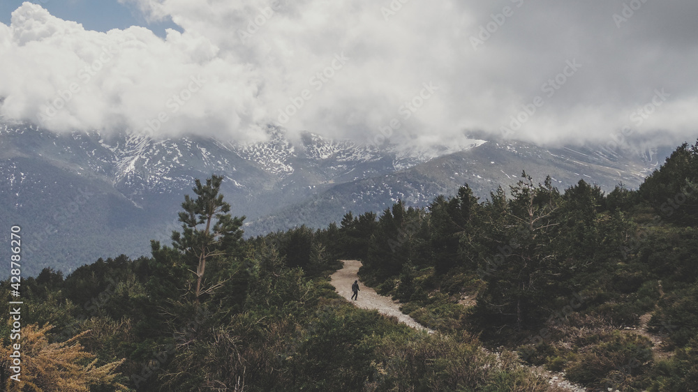 Naklejka premium Hombre practicando senderismo en un camino de la Sierra de Guadarrama en el Parque Nacional de Guadarrama con Cabezas de Hierro de fondo un día nublado de primavera