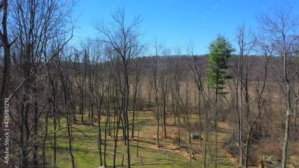 Aerial View of a Driveway and Backyard Located in the Woods Aerial View of a Driveway and Backyard Located in the Woods