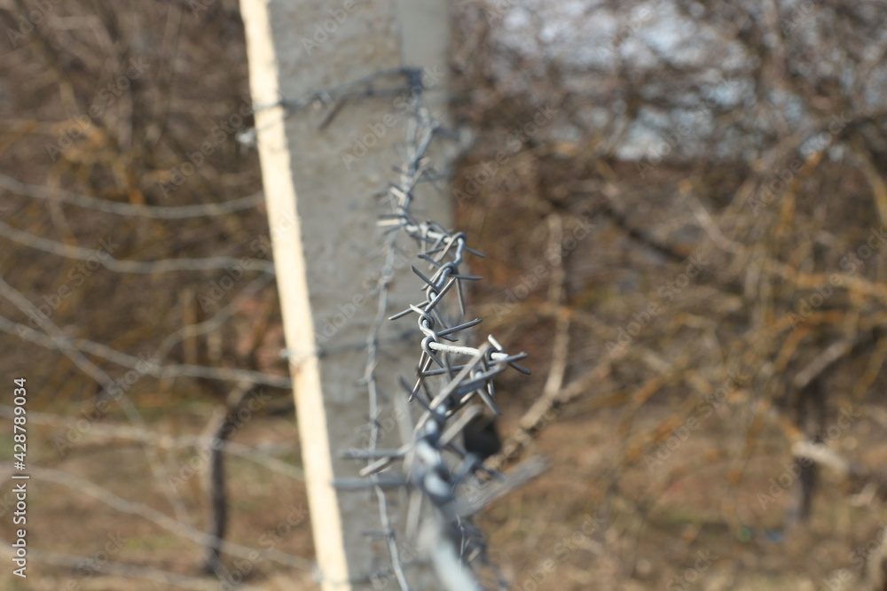 Old rusty barbed wire fence in the forest Old rusty barbed wire fence in the forest
