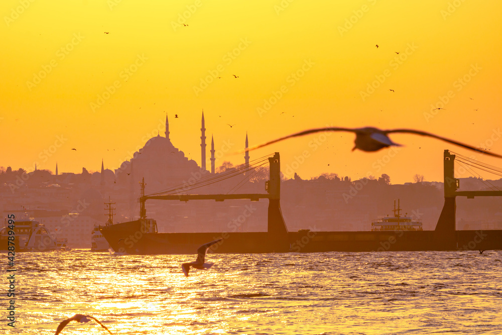 Cityscape of Istanbul at sunset with seagull
