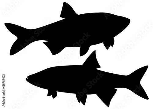 Included predatory asp fish. Fishing for asp. Vector image.