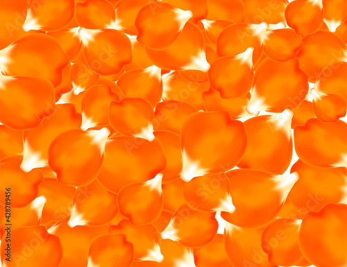 花びら絨毯(マンダリンオレンジ）