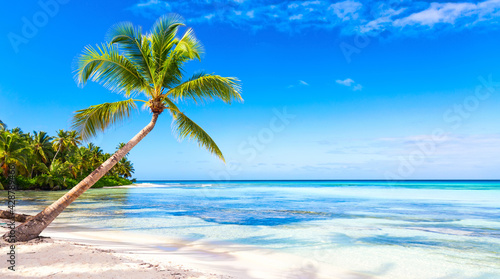 Palm trees on the caribbean tropical beach. Saona Island  Dominican Republic. Vacation travel background