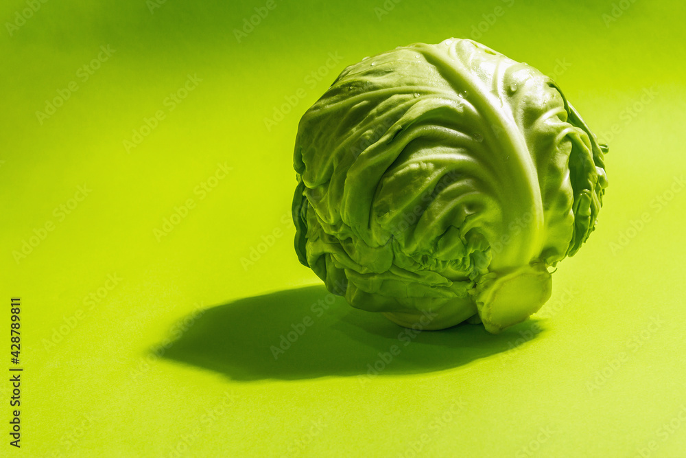 Fresh young cabbage, whole head in bright green background Fresh young cabbage, whole head in bright green background