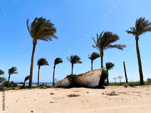 Old boat on sand of th Red sea cost. Sunny day in Egypt. Atmospheric background image of abandoned boat under the palm trees on the beach photo