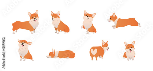 Cartoon Pembroke Welsh Corgi illustration set in different poses. Cute sitting, running and lying vector dog isolated on white background