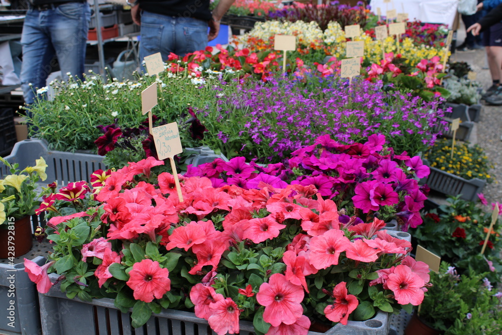 Stand de fleurs sur le marché