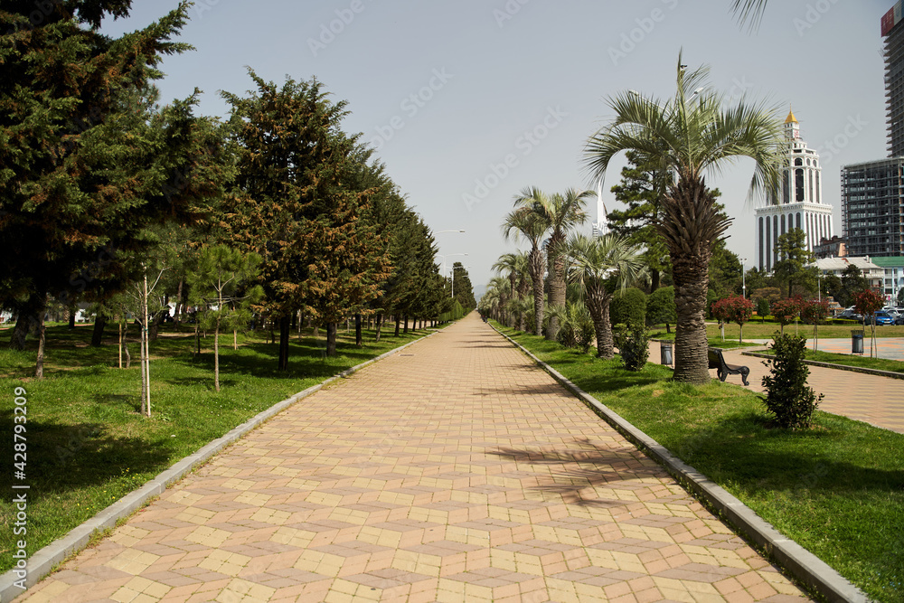 Batumi New Boulevard on a Sunny day. Palm trees along the road. Batumi. Georgia.