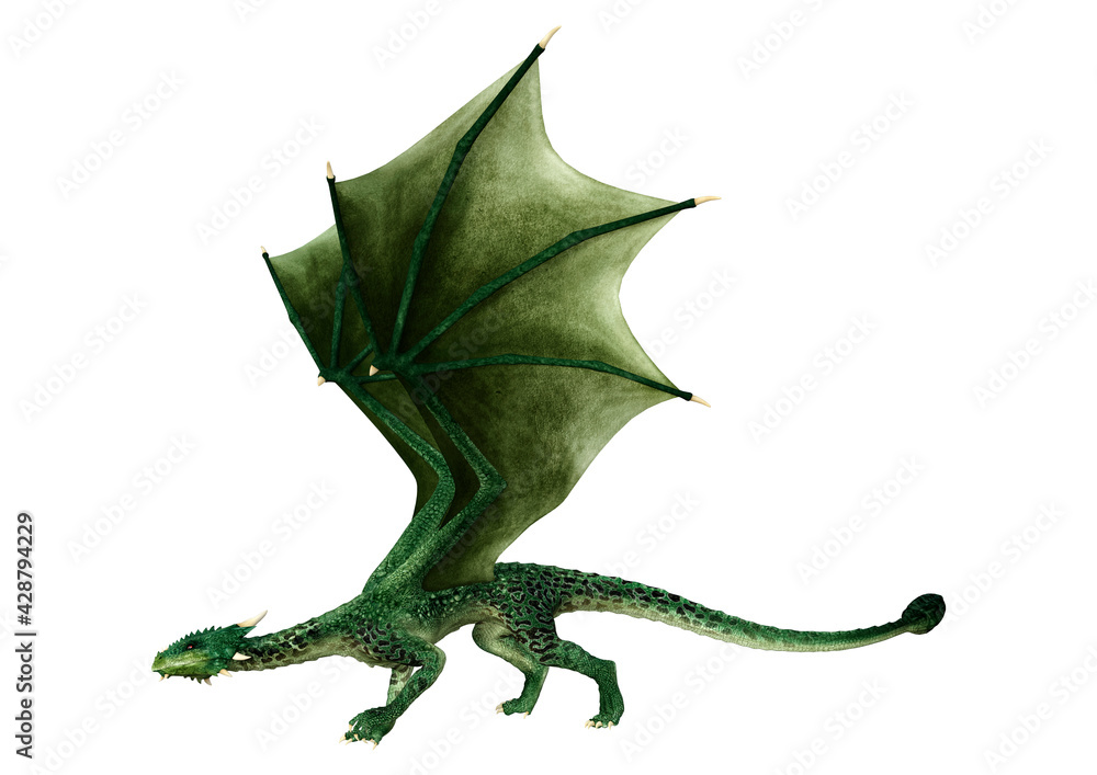 Fototapeta premium 3D Rendering Fairy Tale Dragon on White