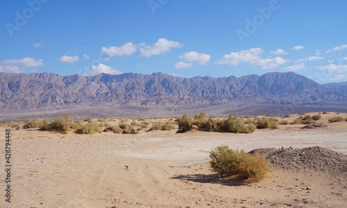 Sand dunes in the desert  selective focus