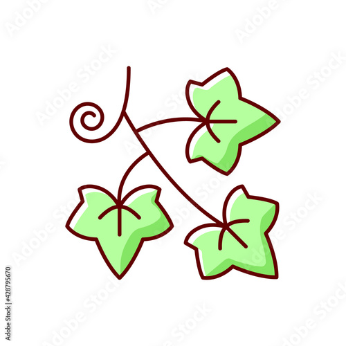 English ivy RGB color icon. Hedera helix, green vine. Crawling flowering plant. Spring foliage. Cause of seasonal allergic reaction. Dangerous allergen. Isolated vector illustration