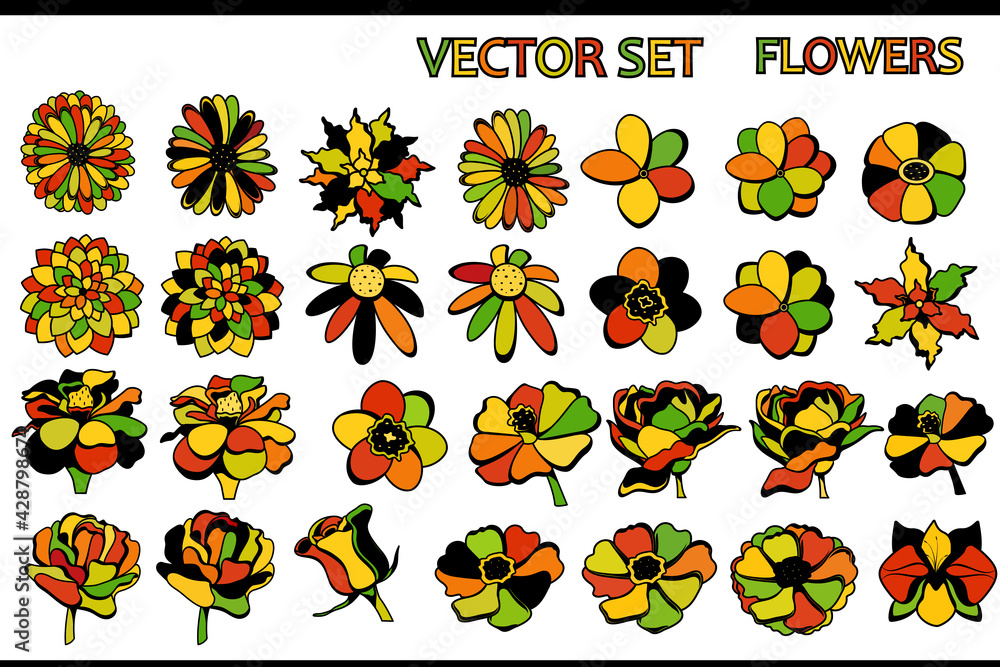 Set of multi-colored flowers on a white background with a black outline. Vector flowers.