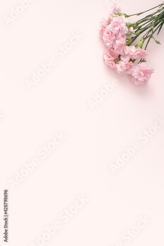 Design concept of Mother's day holiday greeting with carnation bouquet on pink table background