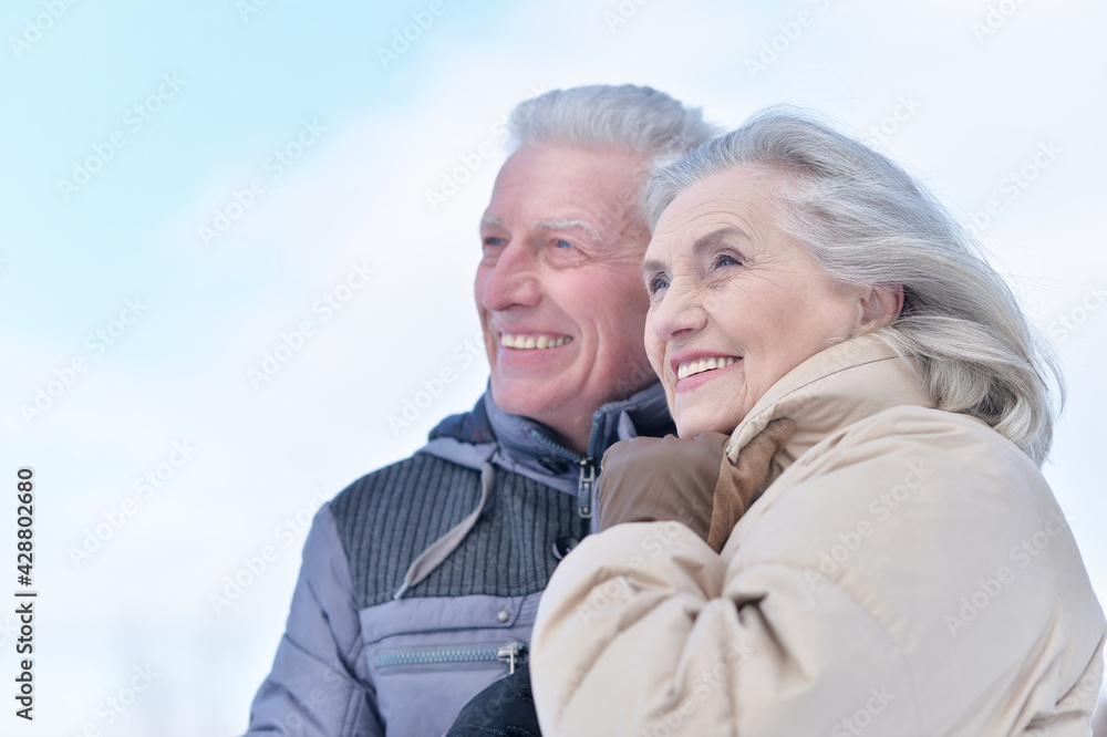 Happy senior couple at winter outdoors Happy senior couple at winter outdoors