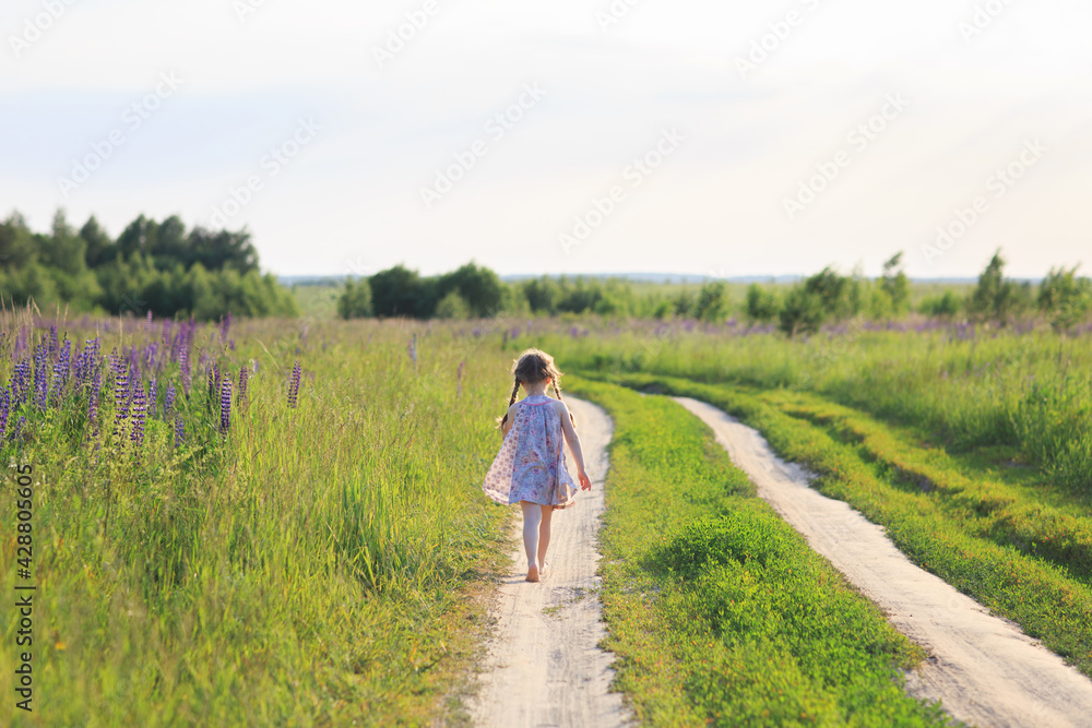 girl walks along country road in summer in field of lupins