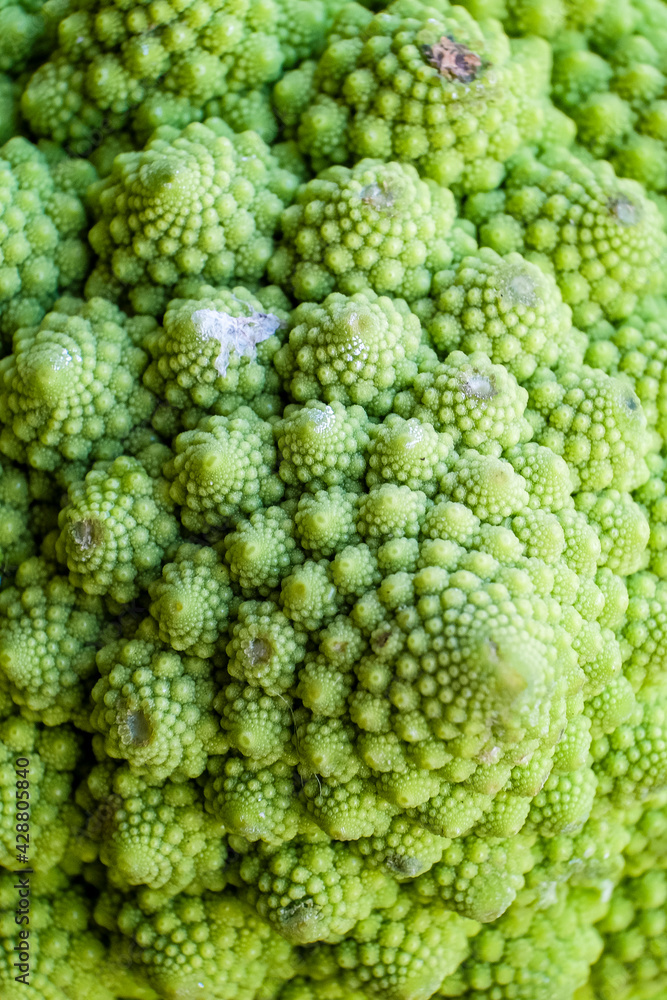 cauliflower details with macro lens cauliflower details with macro lens