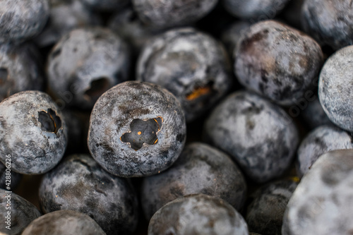details by macro lens of a blueberry
