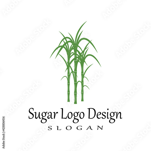 Sugar cane Logo Template vector symbol nature