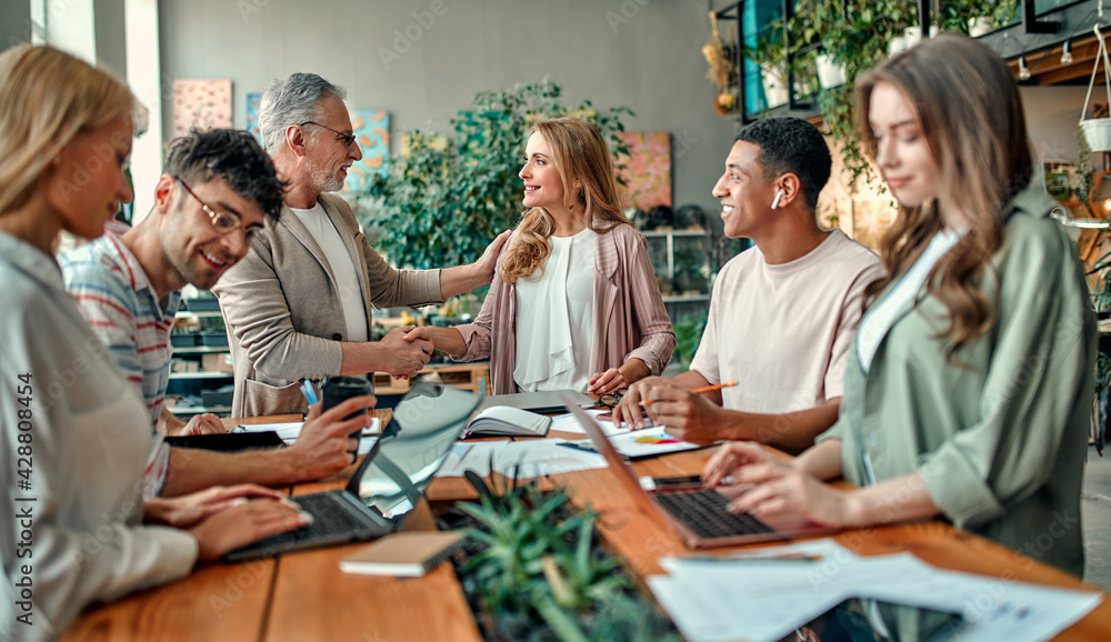 Obraz premium Group of people working in office