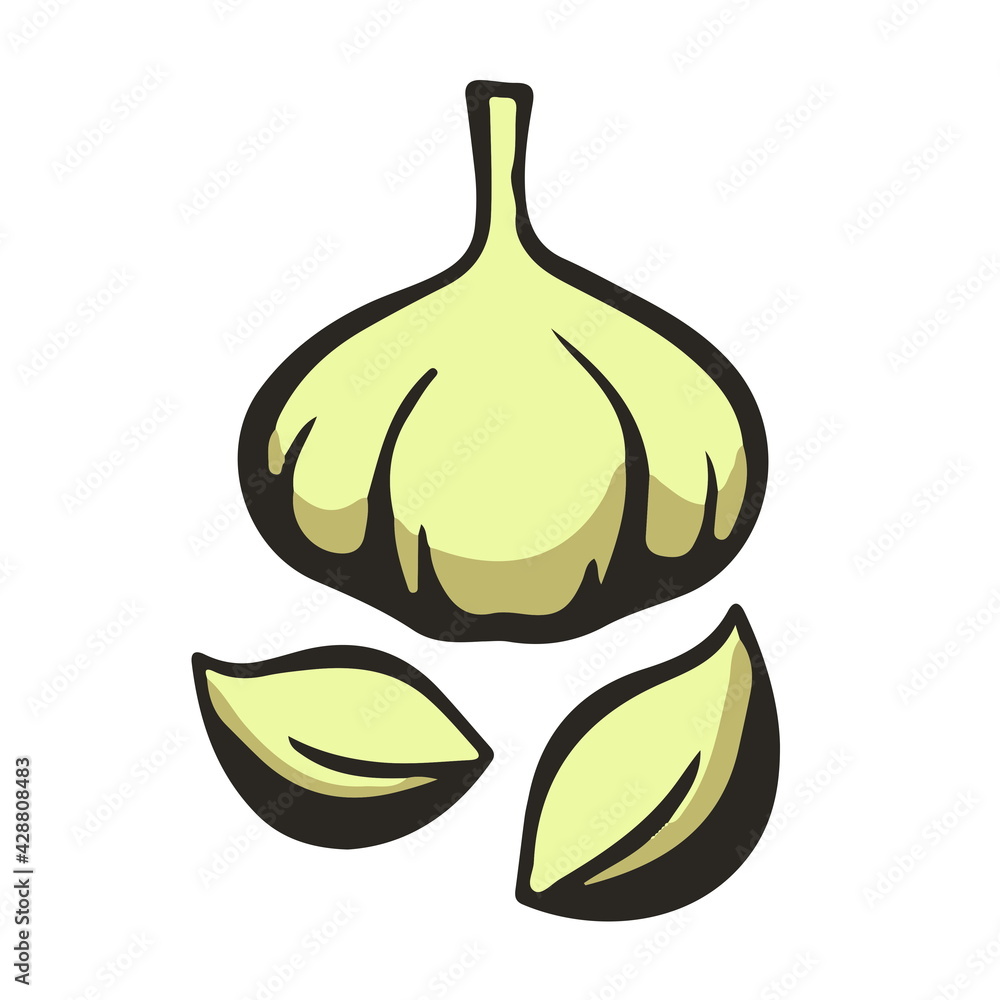 Colorful Garlic vegetable Herb Icon On White Background Flat Illustration Graphic
