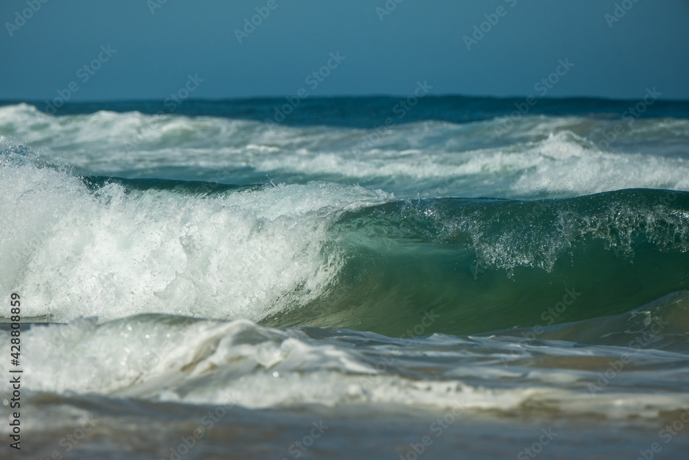 Obraz premium Waves on the beach at Yeagarup, Southern Ocean