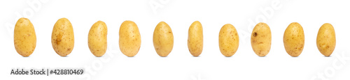 Collection of fresh potato isolated on white background