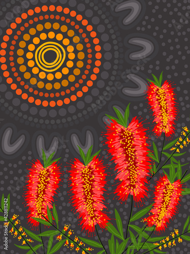 Red bottle brush medicine flowers - aboriginal nature art