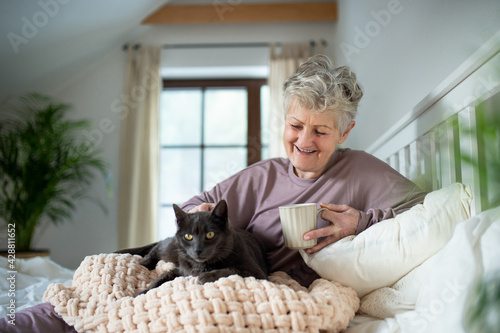 Happy senior woman with cat resting in bed at home. photo