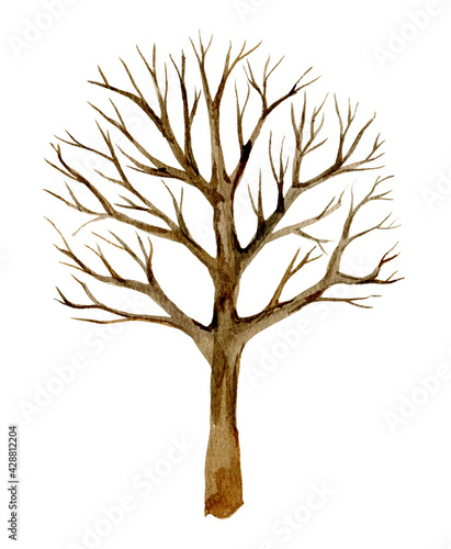 Tree without leaves, silhouette, winter tree  isolated on white background, watercolor illustration © v_paulava