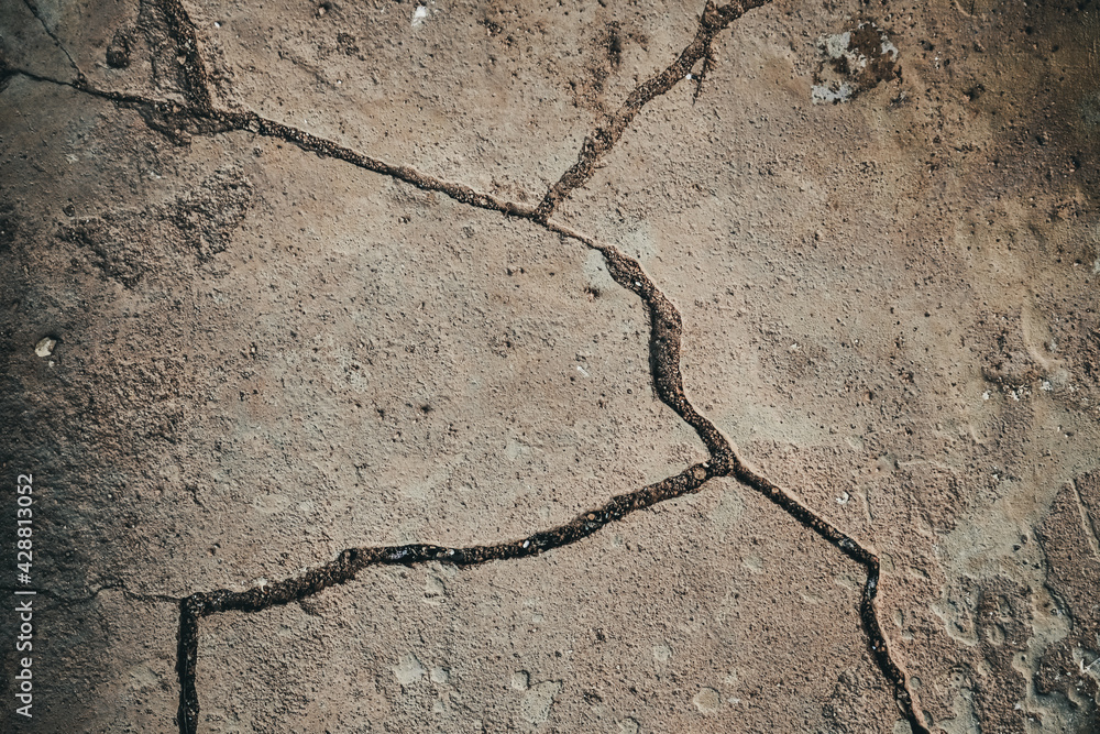 Obraz premium cracked soil background