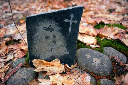 old cemetery of family pets