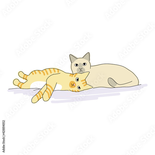 仲良くくっついて寝ている二匹の猫