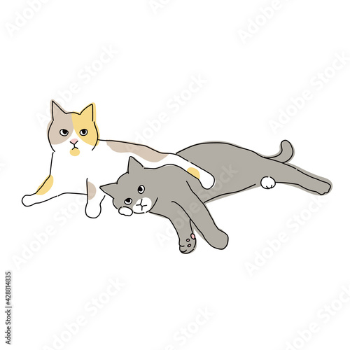 仲良くくっついて寝ている二匹の猫