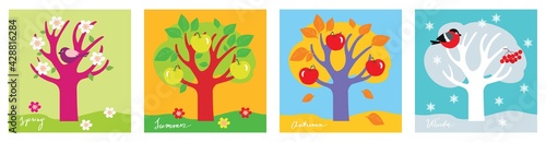 A tree in different seasons: spring, winter, summer, autumn.