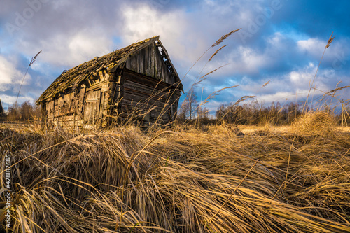 abandoned wooden house in a field with dry grass and gloomy cloudy sky
